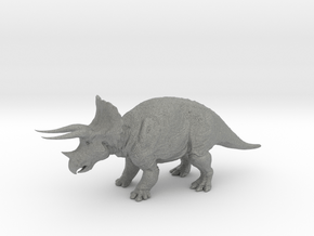 Triceratops_Horridus 1/30 in Gray PA12