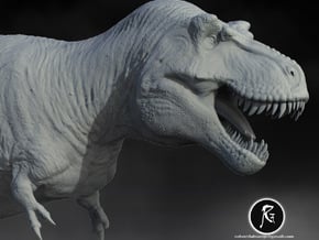 Tyrannosaurus rex 1/80 in White Natural Versatile Plastic