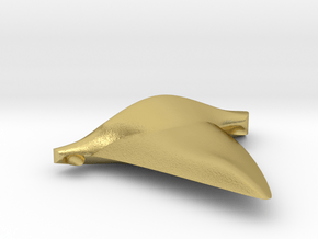 Tiger Shark Tooth  in Natural Brass