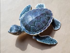 Full-Color Articulated Sea Turtle in Standard High Definition Full Color