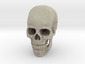 Full-Color 1:6 Scale Human Skull in Matte High Definition Full Color