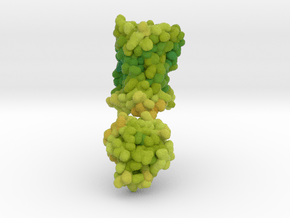 Cannabinoid Receptor in Complex with THC 5XRA in Matte High Definition Full Color: Extra Small