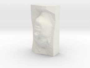 Thom Yorke STL in White Natural Versatile Plastic
