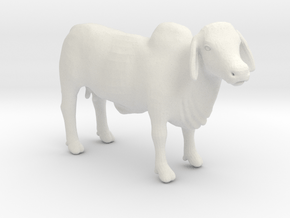 Brahman Cow in White Natural Versatile Plastic: 1:64 - S