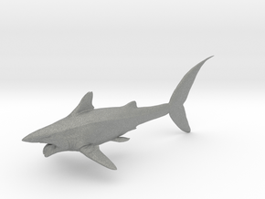 helicoprion 1/40 in Gray PA12
