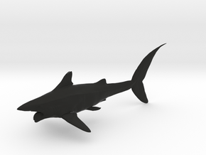 helicoprion 1/40 in Black Smooth PA12