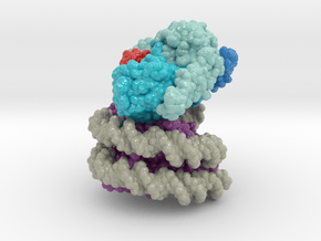 Nucleosome 6UH5 vA4 in Glossy Full Color Sandstone: Extra Small