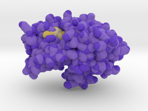 Alcohol Dehydrogenase 1HSO in Matte High Definition Full Color: Extra Small