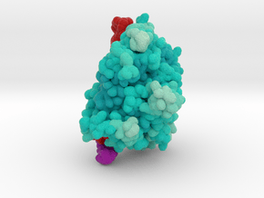 mdm_CRISPR-Cas13d-6E9F_max_x100-8cm_vA22 in Matte High Definition Full Color: Extra Small