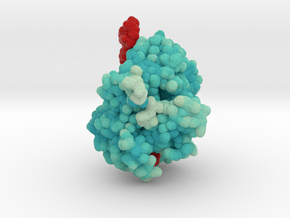 mdm_CRISPR-Cas13d-6IV9_max_x100-8cm_vA21 in Matte High Definition Full Color: Extra Small