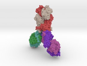 mdm_CRISPR-CSX1-6R9R_max_x100-8cm_vA28 in Matte High Definition Full Color: Extra Small