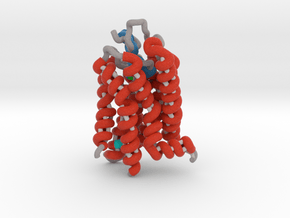 Rhodopsin Ribbon in Matte High Definition Full Color: Small