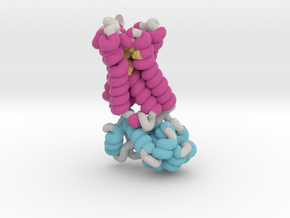 Muscarinic Receptor 3UON in Matte High Definition Full Color: Small