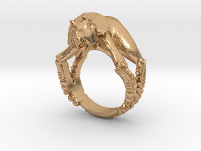 Baby Triceratops Ring in Polished Bronze: 8 / 56.75