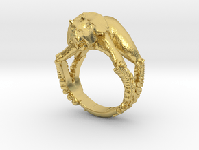 Baby Triceratops Ring in Polished Brass: 8 / 56.75