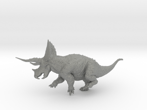 Torosaurus in Gray PA12: Extra Small