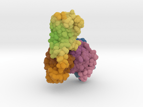 Serotonin Receptor 5-HT1A DMT Complex 7E2Y in Matte High Definition Full Color: Extra Small