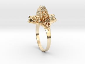 bague2 in 14K Yellow Gold