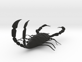 danger scorpion  in Black Natural Versatile Plastic
