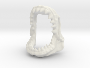 JAWS - Shark Jaws in White Natural Versatile Plastic