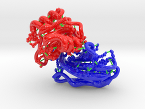 Monobody NSa1/SHP2 N-SH2 Domain Complex 4JE4 in Glossy Full Color Sandstone: Extra Large