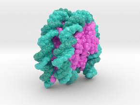Nucleosome 6PWE in Glossy Full Color Sandstone: Extra Small