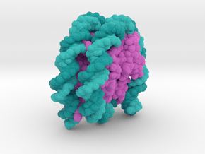Nucleosome 6PWE in Matte High Definition Full Color: Extra Small
