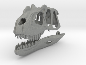 Ceratosaurus skull - dinosaur model in Gray PA12: 1:8