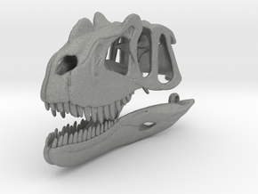 Ceratosaurus skull - dinosaur model in Gray PA12: 1:12
