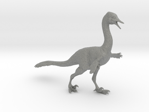 Halszkaraptor in Gray PA12
