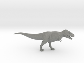 Tarbosaurus in Gray PA12