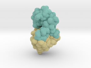 Bacteriophage T4 Lysozyme 256L in Matte High Definition Full Color: Extra Small
