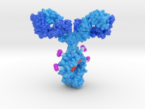 Antibody Drug Conjugate x4 in Glossy Full Color Sandstone: Medium