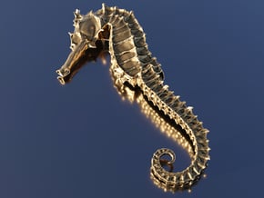 Sea horse, Seepferd, sea-horse in Polished Gold Steel