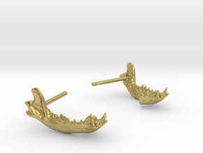 Canine Jaw Earrings in Natural Brass