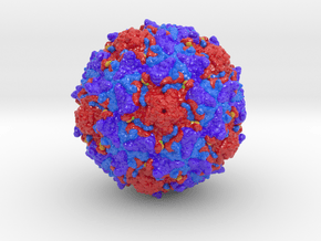Poliovirus Type 2 1EAH in Glossy Full Color Sandstone: Extra Small