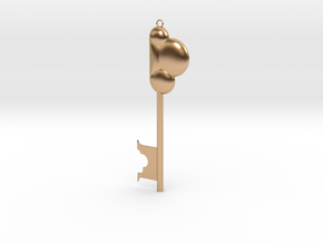 Disneyland Believe Key (Vertical) in Polished Bronze: Small