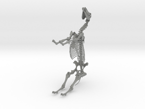 Horse Skeleton Sculpture 1:9 in Gray PA12