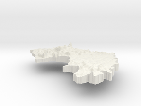 Guinea Terrain Pendant in White Natural Versatile Plastic