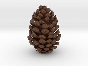 Pine Cone in Standard High Definition Full Color