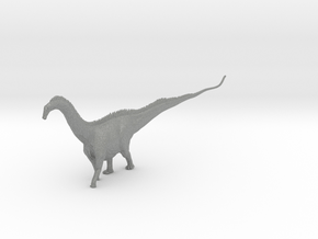 Diplodocus in Gray PA12