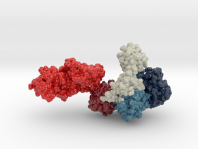 TAQ DNA Polymerase 1TAQ in Glossy Full Color Sandstone: Extra Large
