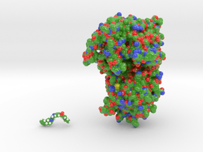 Menin with Small Molecule 3U84 in Glossy Full Color Sandstone: Medium