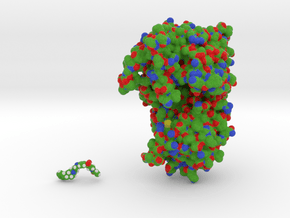 Menin with Small Molecule 3U84 in Matte High Definition Full Color: Medium