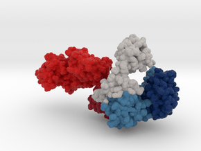 TAQ DNA Polymerase 1TAQ in Matte High Definition Full Color: Medium