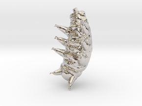 tardigrade pose 2 in Platinum