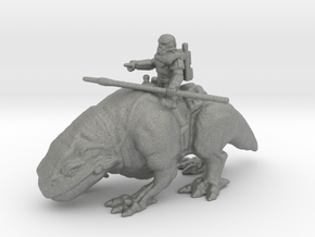 Sandtrooper on Dewback 1/72 25mm miniature model in Gray PA12