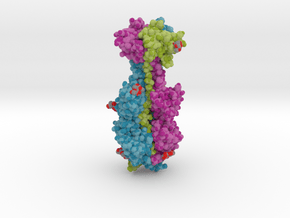 Cytomegalovirus Glycoprotein B 5cxf in Matte High Definition Full Color: Small