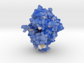 DPP-4 in Complex with Inhibitor 2RGU in Matte High Definition Full Color: Small