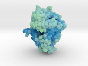 DPP4-Sitagliptin Complex 2P8S in Matte High Definition Full Color: Extra Small
